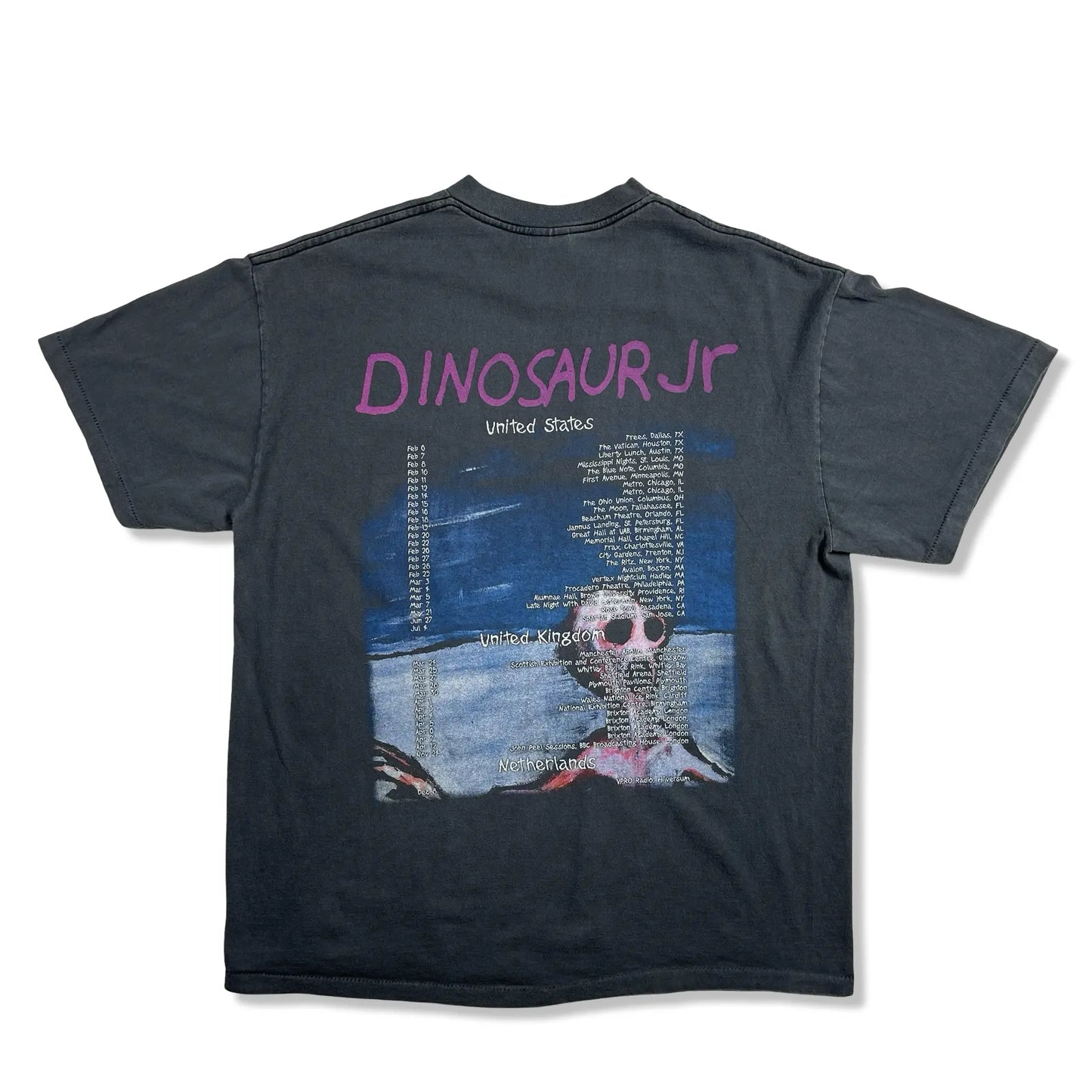 PRINTED T-SHIRT DINOSAUR JR - XL BELYBENT