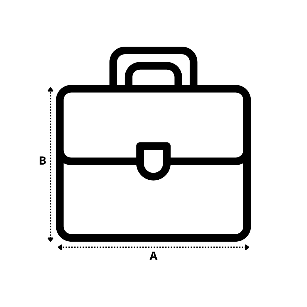 SAC À MAIN COACH